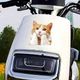Декоративная 2D наклейка Рыжий кот для автомобиля, мотоцикла, ноутбука, техники 1 шт. 14.8х14 см. Оранжевый с белым - изображение 8