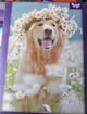 Пазли 500 елементів Funny dog Собака у вінку Danko Toys C500-15-12 - зображення 2