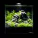 Акваріум Aqualighter набір DAQUARIUM Pico Set 170 мм 5 л (7141) Aqualighter 7141 881395 - зображення 4
