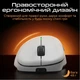 Мышка RAWM ER21Pro Wireless Orange (ER21PRO.orange) RAWM ER21PRO.orange 912915 - изображение 10