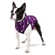 Курточка для животных WAUDOG Clothes "Чудо-женщина фиолет" M 45 (0945-4008) WAUDOG 0945-4008 883336 - изображение 3