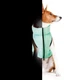 Курточка для животных Airy Vest Lumi двусторонняя M 50 мятно-оранжевая (2288) Airy Vest 2288 883801 - изображение 6