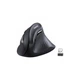 Мишка Ugreen MU008 Vertical Wireless Black (25444) UGREEN 25444 911783 - зображення 1