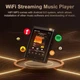 HIFI MP3 Audio плеєр Oilsky M308 LDAC DSD512 Hi-Res Lossless 80 ГБ MAX97720, Bluetooth, Wi-Fi, Android - зображення 4