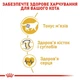 Сухой корм для котов британская короткошерстная Royal Canin British Shorthair Adult от 12 месяцев 2 кг - изображение 5