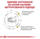 Сухой корм Royal Canin Urinary S/O Feline для взрослых котов с мочекаменной болезнью 9 кг - изображение 5