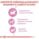 Сухой корм для котят Royal Canin Kitten от 4 до 12 месяцев для здорового развития 4 кг - изображение 2