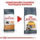 Сухой корм для кошек Royal Canin Hair & Skin Care 2 кг - изображение 5