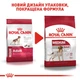 Сухой корм для взрослых собак средних пород Royal Canin Medium Adult старше 12 месяцев 4 кг - изображение 2