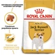 Корм Royal Canin Jack Russell Terrier Adult сухой для собак породы джек рассел 1.5 кг - изображение 6