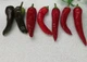 Перец острый Pepperoncini italy семена (5 шт) красный Пепперончини до 500 SHU - изображение 4