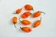 Перец острый Habanero Orange семена (5 шт) оранжевый Хабанеро чили суперхот до 350 000 SHU - изображение 3