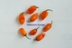 Перец острый Habanero Orange семена (5 шт) оранжевый Хабанеро чили суперхот до 350 000 SHU - изображение 6