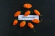 Перец острый Habanero Orange семена (5 шт) оранжевый Хабанеро чили суперхот до 350 000 SHU - изображение 7