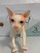 Іспанська вінілова лялька DESTOYS Sphynx 30 см - зображення 2