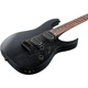 Электрогитара Ibanez RGRT421 WK (226617) - изображение 5