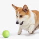 Умный мячик для собак Cheerble Wicked ball C1801 Green [150917] - изображение 4