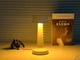 Настольная лампа сенсорная светодиодная ESLLSE DOWN LIGHT с аккумулятором 1200 mA Белая 10316 - изображение 8