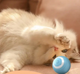 Умный интерактивный мячик для котов Smart Cat Ball — Синий океан: Мир приключений для вашего любимца - изображение 5