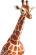 Фигурка Жираф XL Safari Ltd 111189 - изображение 2