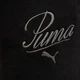 Спортивные шорты женские Puma Ess Script High-Waist Shorts 5" 68498401 M Black (4067983502934) - изображение 9