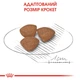 Сухой корм для щенков мелких пород Royal Canin Puppy Mini до 10 месяцев 2 кг - изображение 6