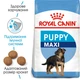 Сухой корм для щенков крупных пород Royal Canin Maxi Puppy до 15 месяцев 4 кг - изображение 2