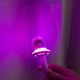 Лайтстик Стрей Кидс Светящийся Брелок подвеска Lightstick Stray Kids 11см Official Light stick SKZ Kpop мини формат - изображение 8