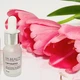 Антикуперозна сироватка для обличчя від почервоніння — 10 мл — DrBeauty - зображення 3