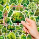 Набор наклеек Деревья Trees 50 шт - изображение 5