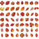 Набор наклеек Осенние листья Autumn Leaves 50 шт - изображение 3
