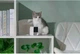 Камера видеонаблюдения за домашними животными Petcube Cam CC10US [87035] - изображение 7