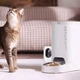 Умная кормушка Petkit Yumshare Solo With Camera 3L (P571) [113299] - изображение 9