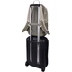 Рюкзак Thule EnRoute Backpack 26L Pelican/Vetiver (3204848) [107514] - изображение 11
