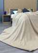 Плед покрывало микрофибра двухспальный 180*200 см флис ТМ Colorful Home однотонный молочный - изображение 3
