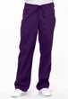 Штани Dickies EDS SIGNATURE Баклажан L DKE83006/EGWZ/L - изображение 1