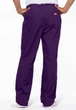Штани Dickies EDS SIGNATURE Баклажан L DKE83006/EGWZ/L - изображение 2