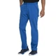 Штани Dickies BALANCE Синій L DKE220/ROY/L - изображение 4