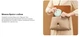 Электрический молокоотсос Philips AVENT (SCF323/11) - изображение 17
