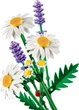 Конструктор LEGO Botanicals Ромашки 133 детали (11508) - изображение 16