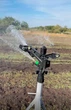 Дощувач Presto-PS 6015 зрошувач імпульсний для городу 2 форсунки різьблення 1 дюйм - изображение 16