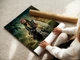Постер Капитан Джек Воробей, Джонни Депп, Jack Sparrow, Pirates of the Carribean, A3 42×30 см (id1305) - изображение 2