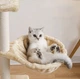 Игровой комплекс-когтеточка для кошек CAT IN BOX SkyTower 139 - коричневый - изображение 4