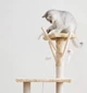 Игровой комплекс-когтеточка для кошек CAT IN BOX SkyTower 139 - коричневый - изображение 7