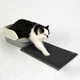 Килимок двошаровий для котячого лотка (туалета) "CAT IN BOX" EVA Cat mat 60х40 см хакі - зображення 4