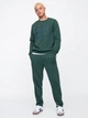 Спортивный костюм мужской утепленный GAP 302311064 2XL Зеленый (1159847007) - изображение 1