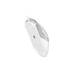Мышь A4Tech Fstyler FM50S Plus White - изображение 9