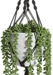 Штучна рослина 4Living у підвісному горщику (6410416125176) - зображення 2