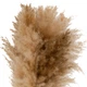 Штучна трава пампасова Atmosphera Créateur d'intérieur Glen в керамічному вазоні 42 см (3560233008664) - зображення 3