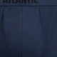 Набор трусов боксеров мужских хлопковых Atlantic 3MH-011 DENJ/IND/ZIEC XL 3 шт Синий/Зеленый (5907086023426) - изображение 5